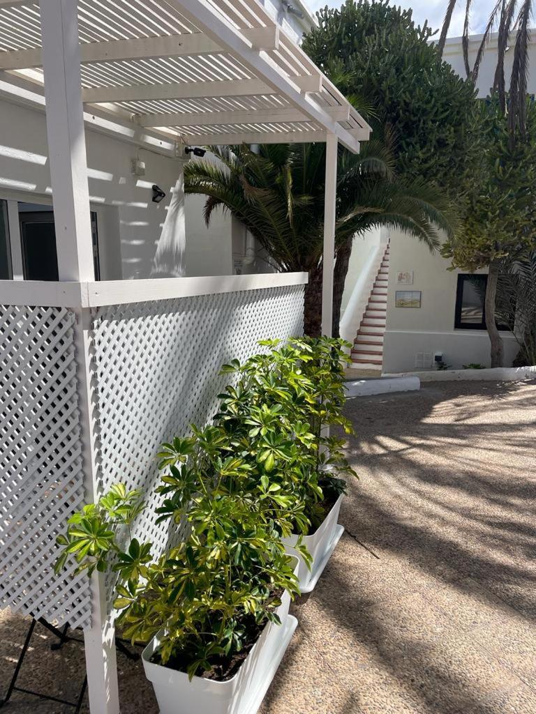 Apartamentos Punta Elena Beach Corralejo Kültér fotó